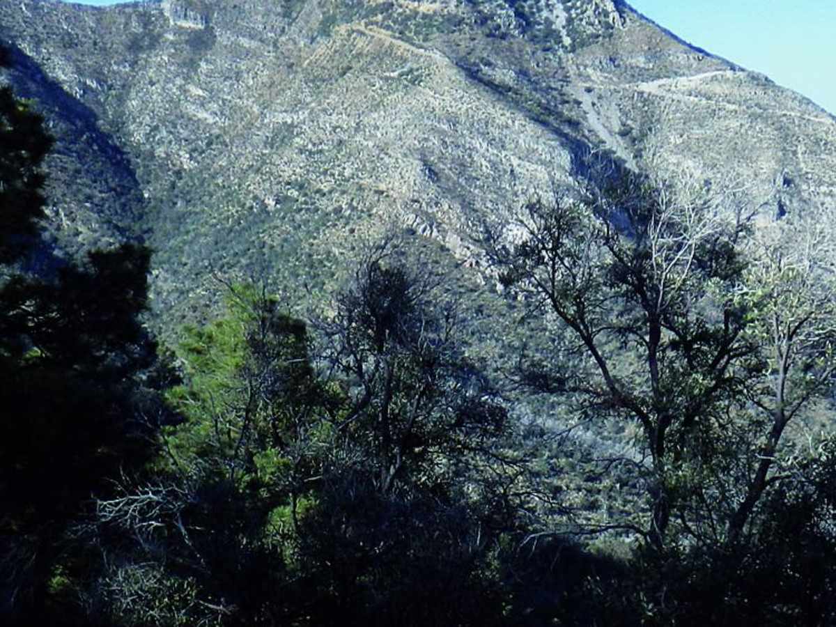 Backway to Mount Lemmon trail photo