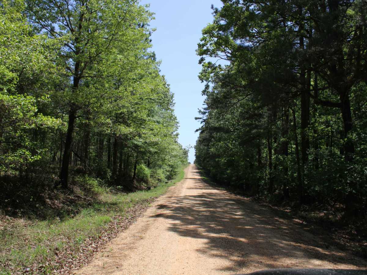 The Arkansas Overland Route - TrailHawk Loop - Section 19 trail photo