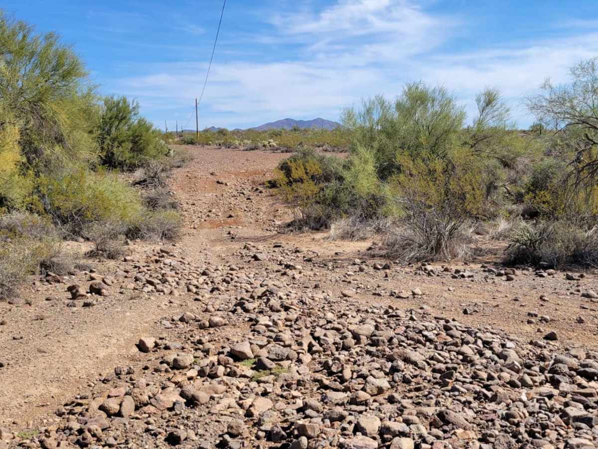 Cactus Express trail photo