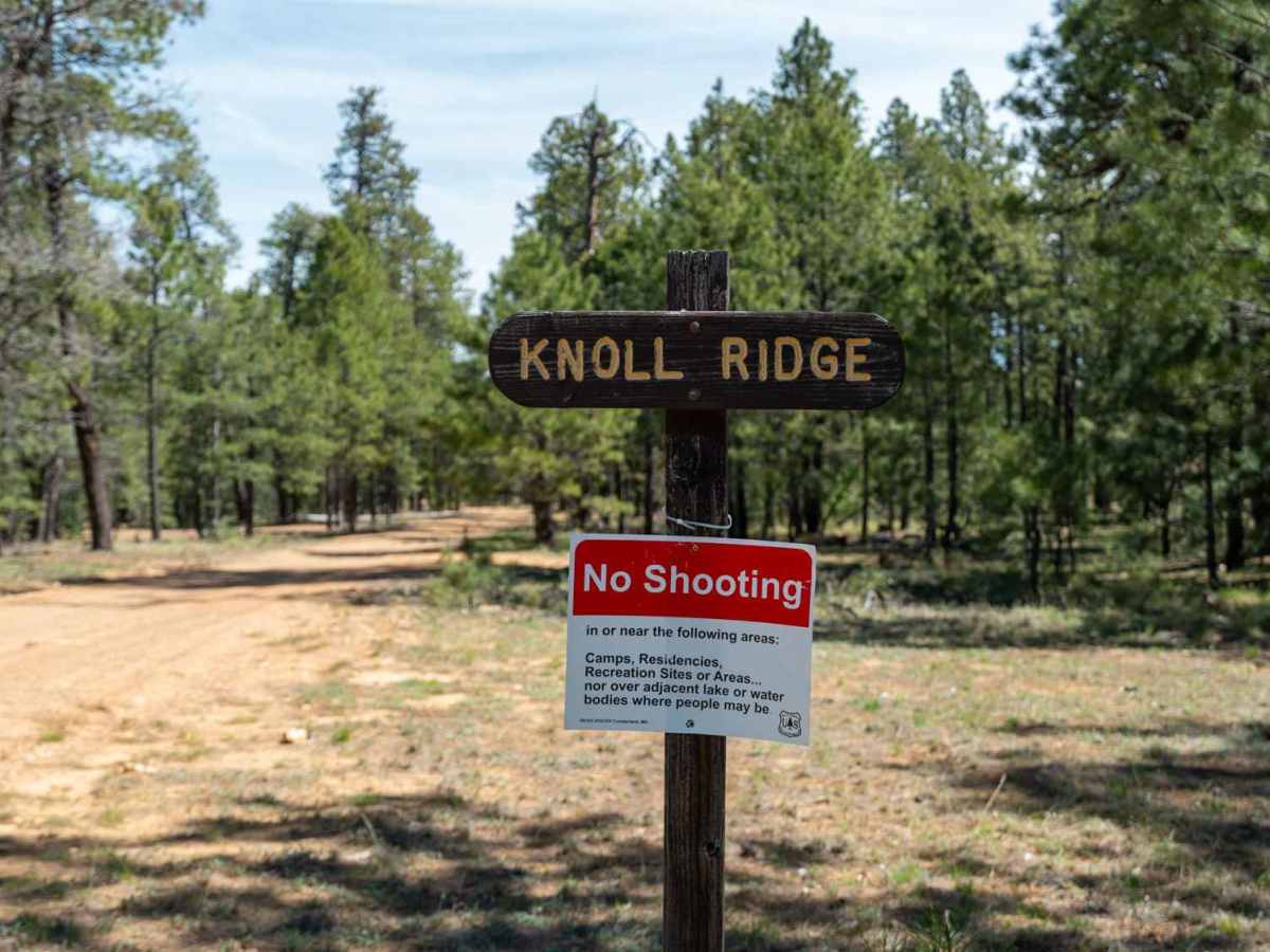 Knoll Ridge - FS 295 photo 2