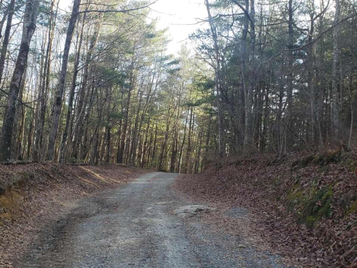 Pinicale Mt Rd photo 4