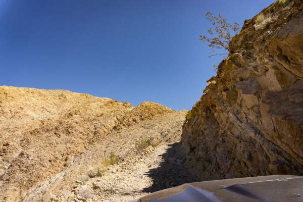 Lippincott Pass