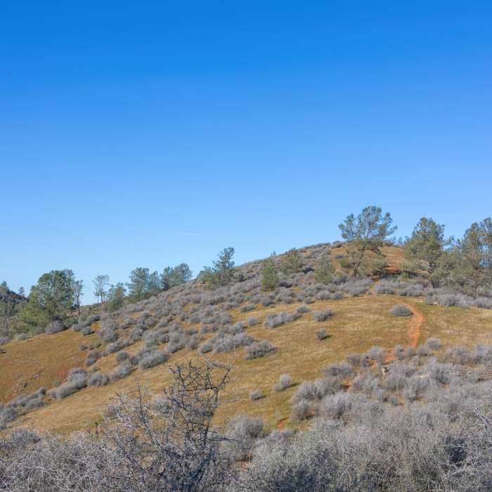 Near Overlook Loop Trail