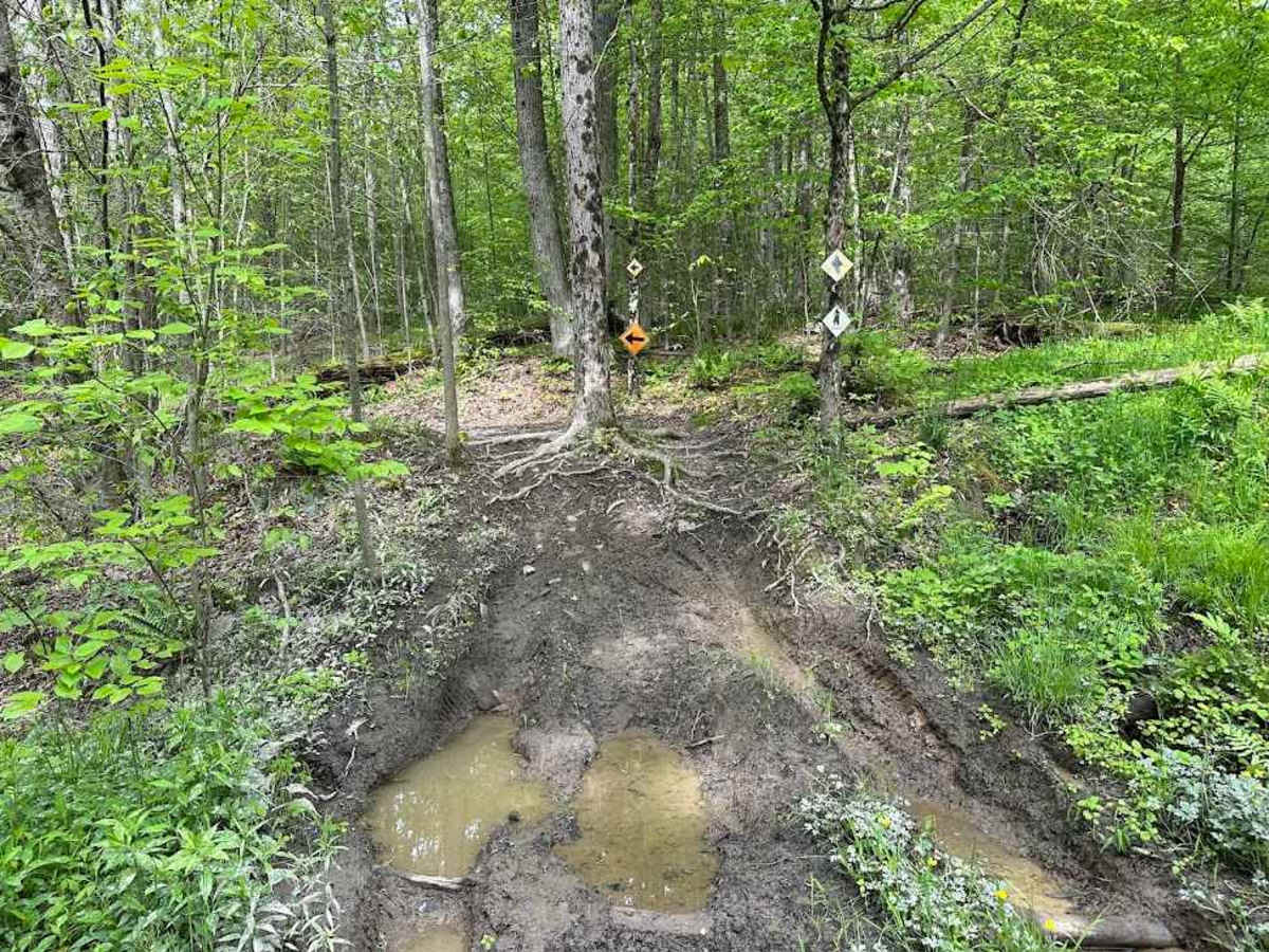 Orange Single Track A- B4 photo 5