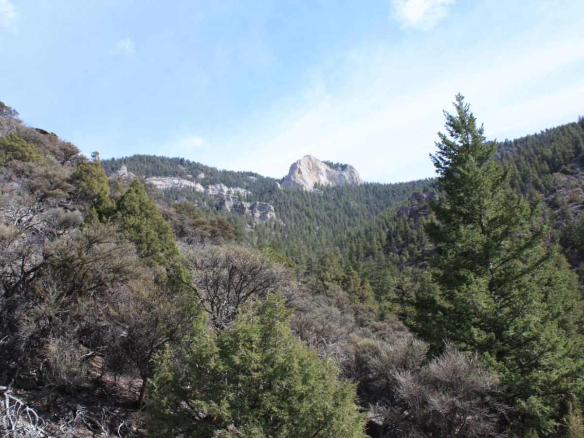 Jaggles Canyon photo 3