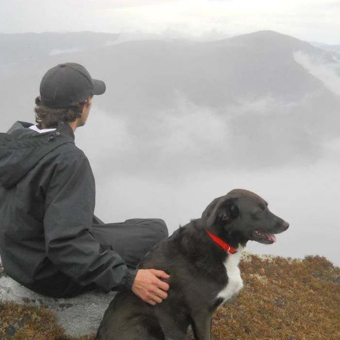 Near Shortoff Mountain Trail