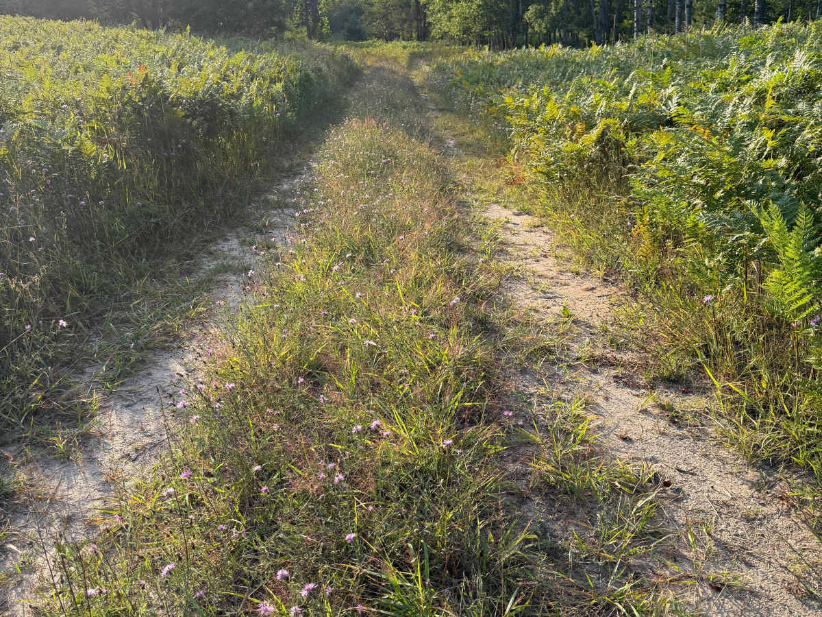 8-3 Powerline Trail photo 5