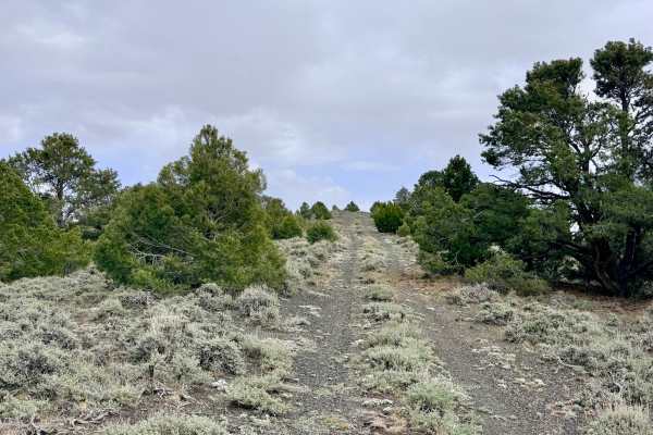 South Lowboy Mine FS43245