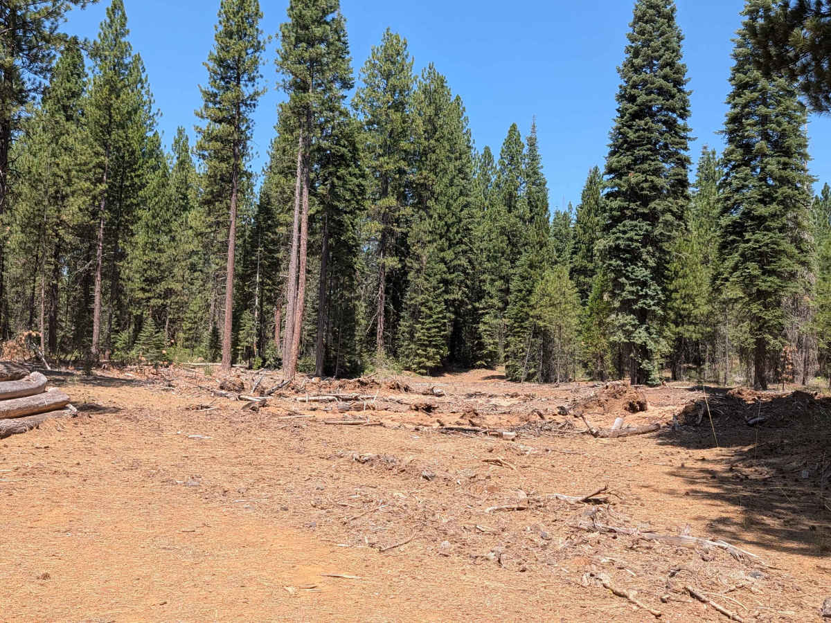 Porcupine Lake - FS 41N01 photo 5