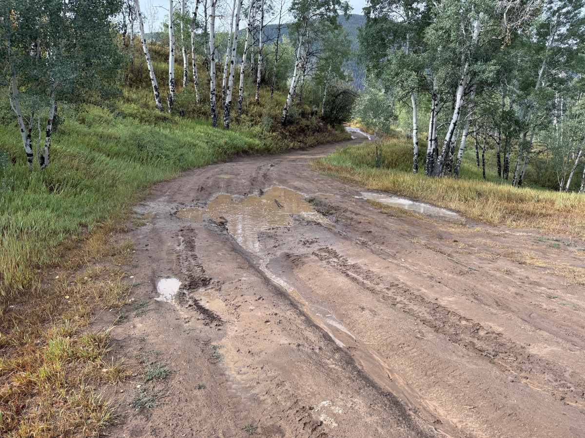 Freeman Road photo 2