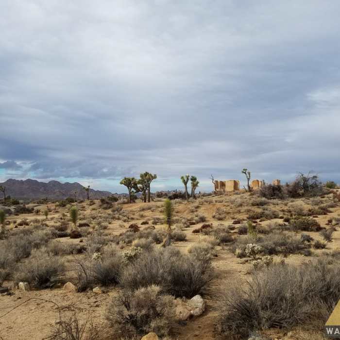 Near Ryan Ranch Loop