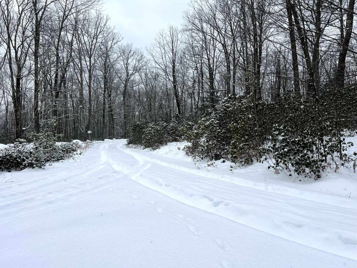 Mill Run Trail trail photo