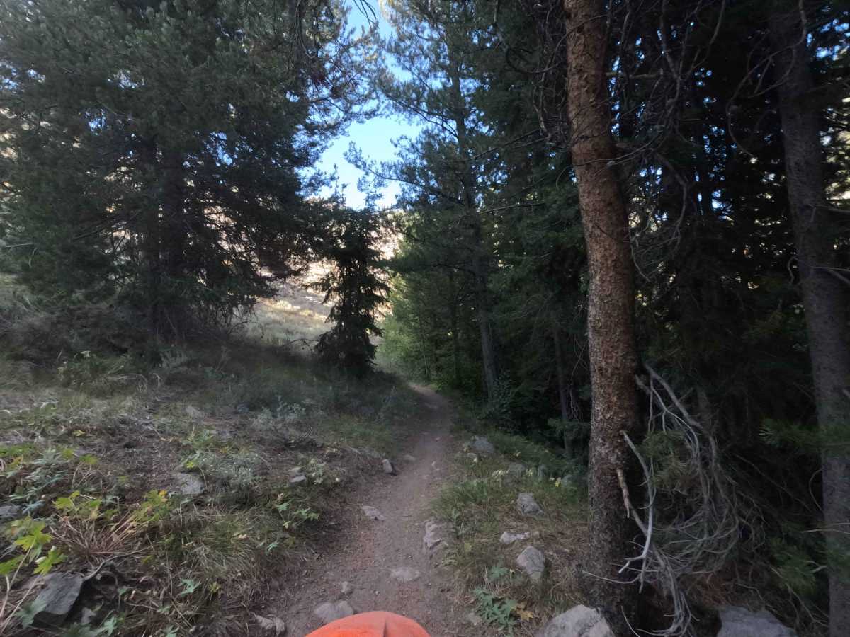 Warfield-South Fork - FS 7151 photo 3