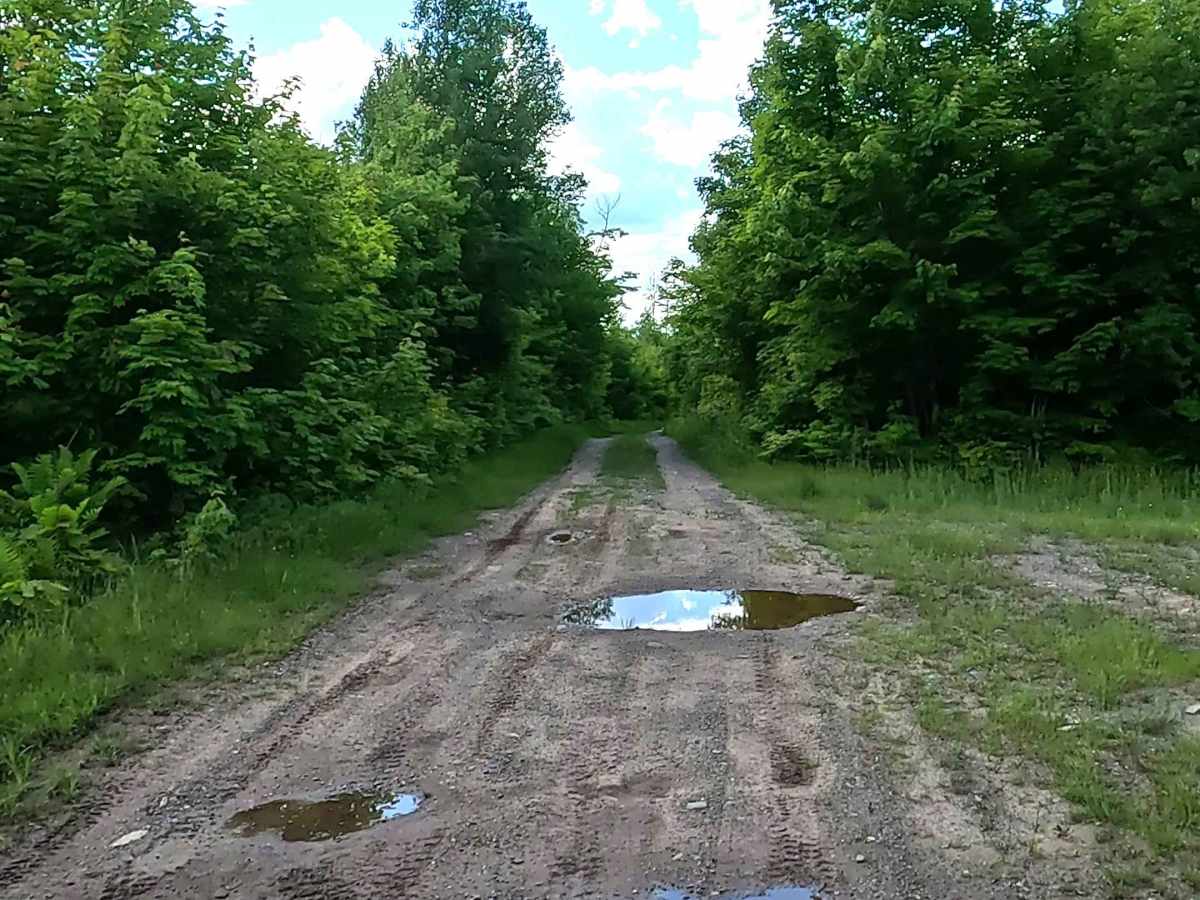 Celotex Road photo 4