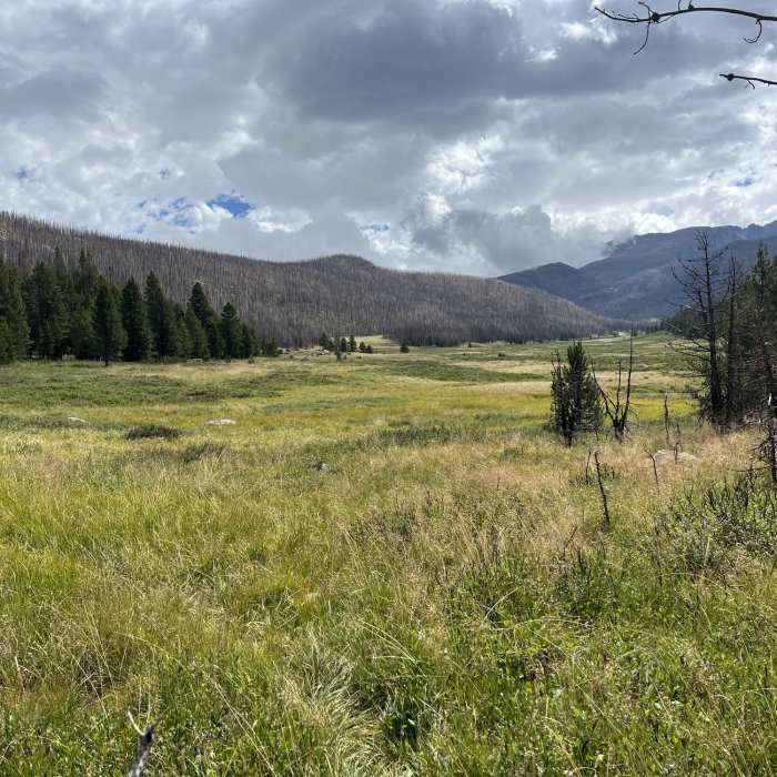 Near Mummy Pass Trail