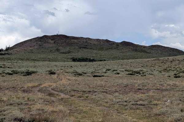 Shepherd Road - FS 31354