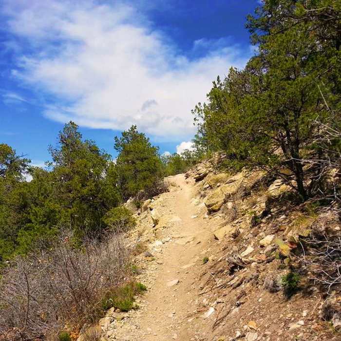 Tunnel Canyon has some challenging climbs. Near Tunnel Canyon