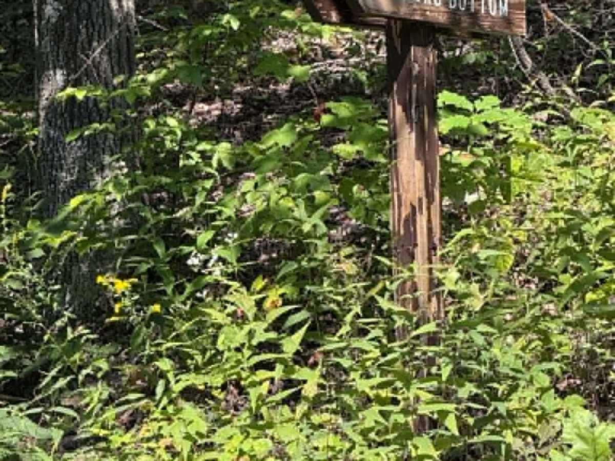 Younkers Bottom Road trail photo