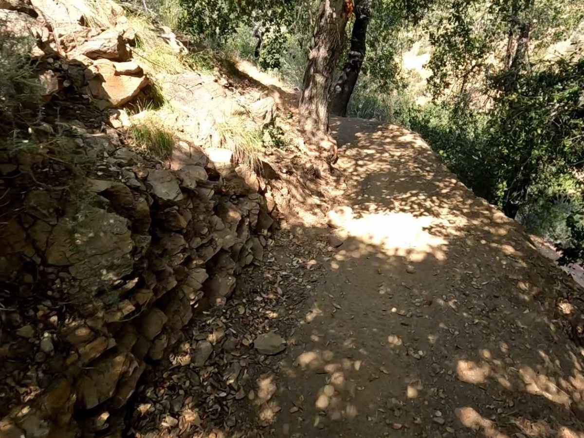 Sidewinder OHV Trail photo 6