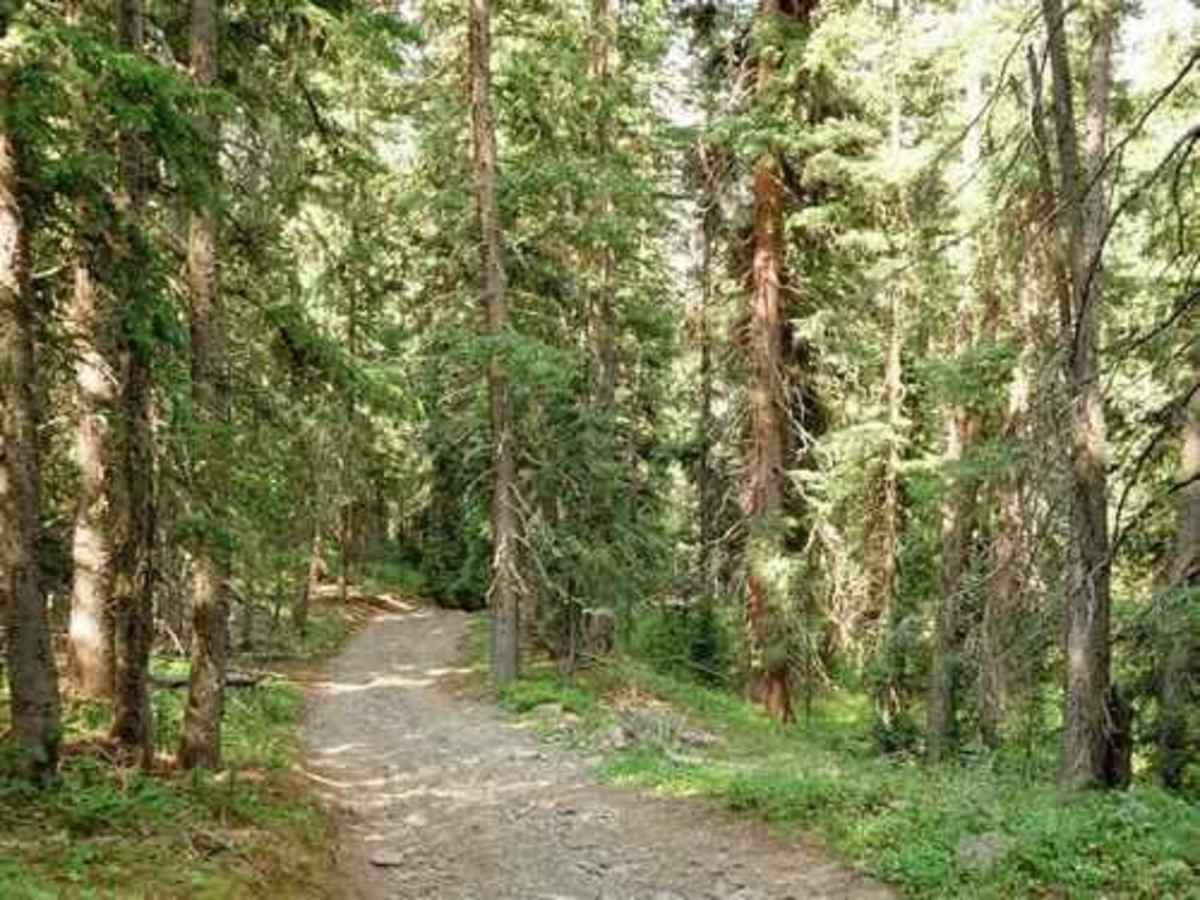 Porcupine Gulch photo 2