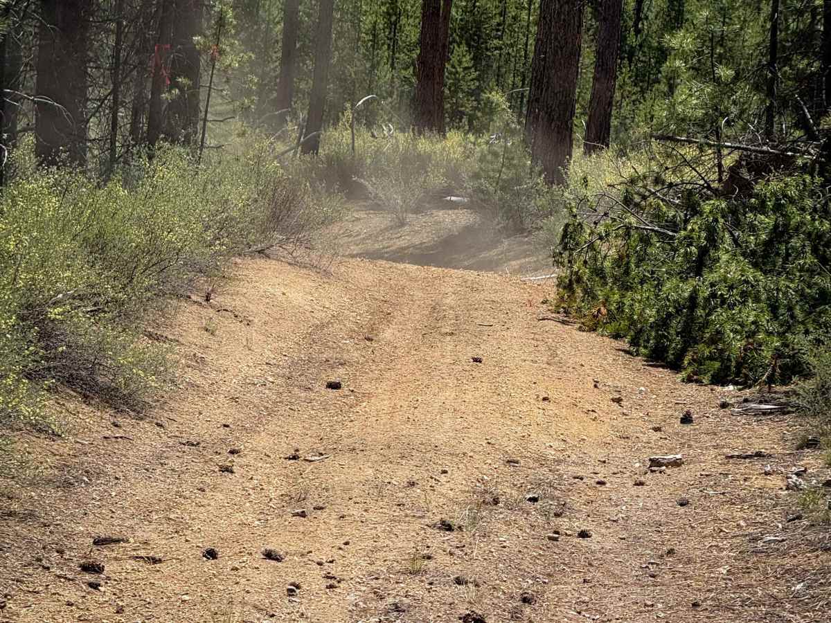 Trail 28  photo 5