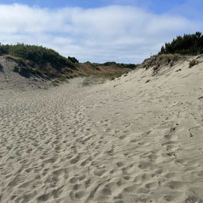 Near Ma-Le'l Dunes Trail
