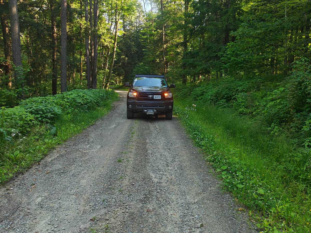  Bucklick - FS 176 photo 2