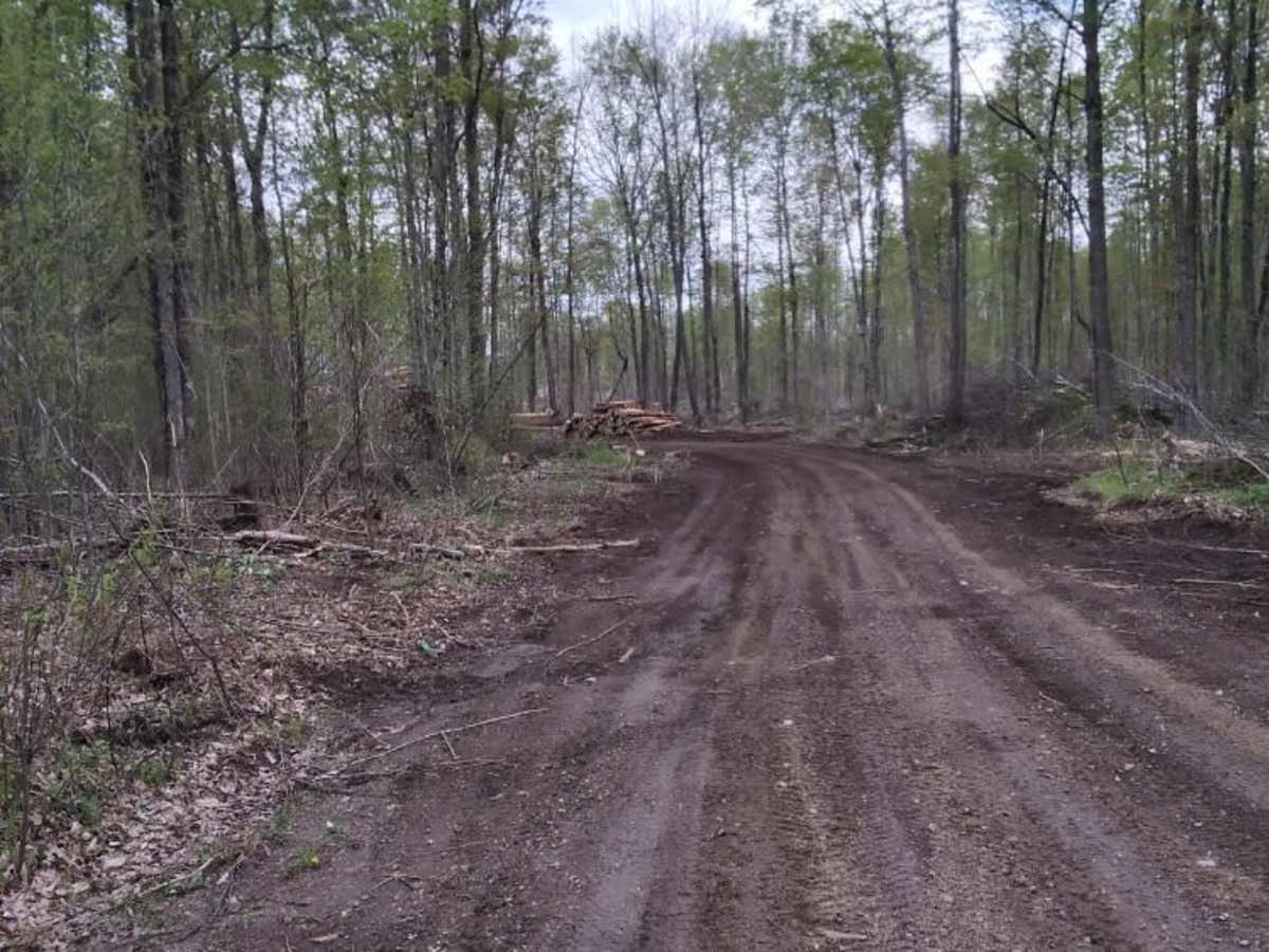Great Bear Trail photo 2
