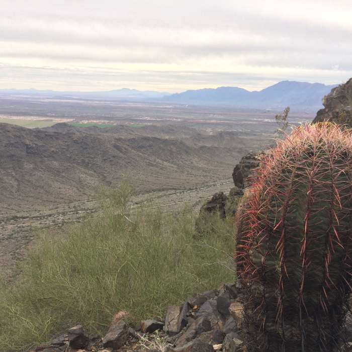 A southwest looking view of the highest point on the Alta Trail. Near Alta Trail