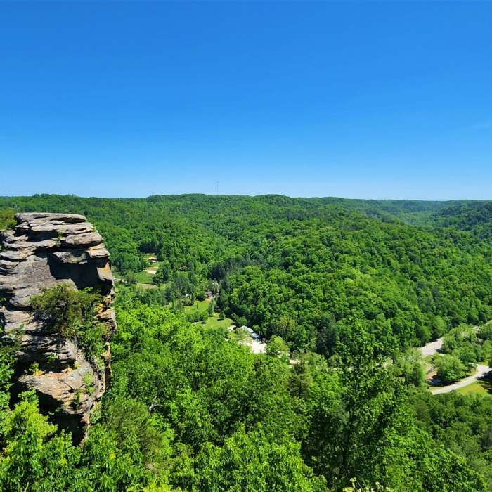 View from the trail Near Hood Branch Loop