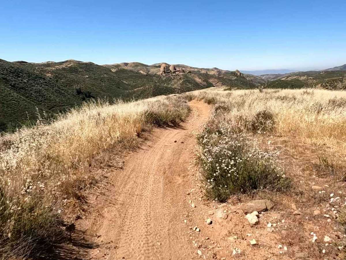 Texas OHV Trail photo 2