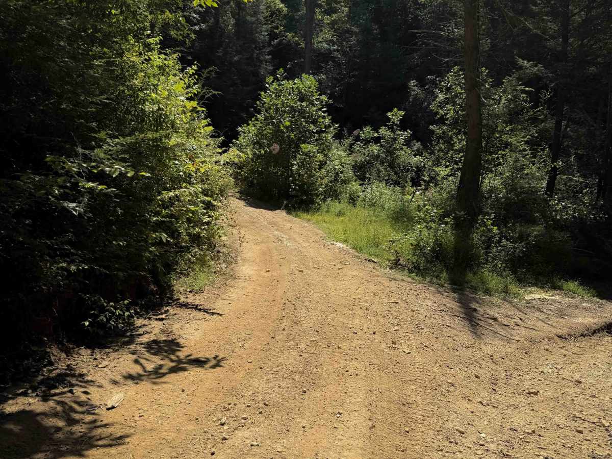 School House Trail 16  photo 5