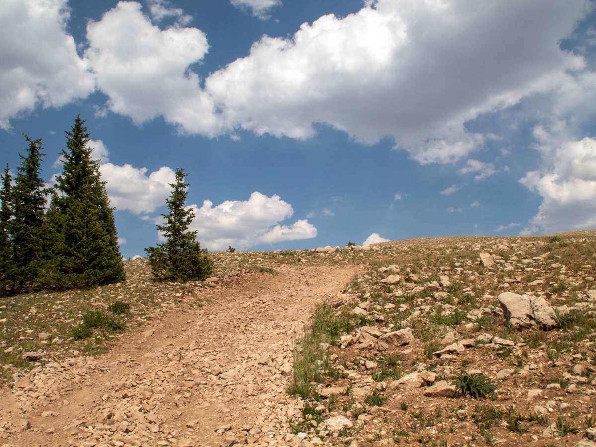 Headache Road - FS 10171 photo 6