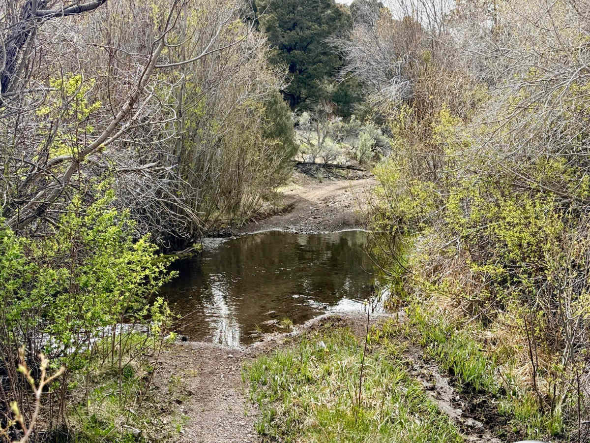 Peavine Creek - FS 44020 photo 2