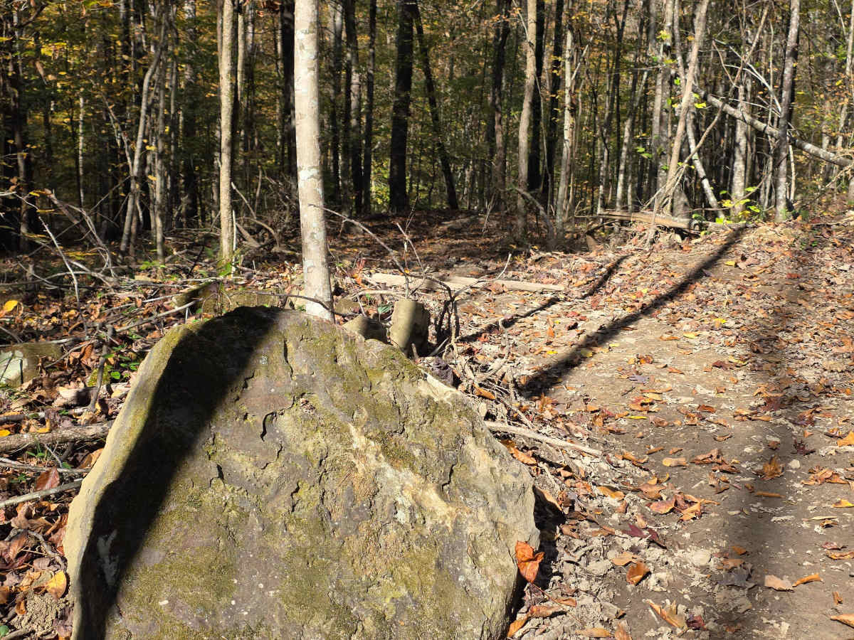 Right Turn  photo 3