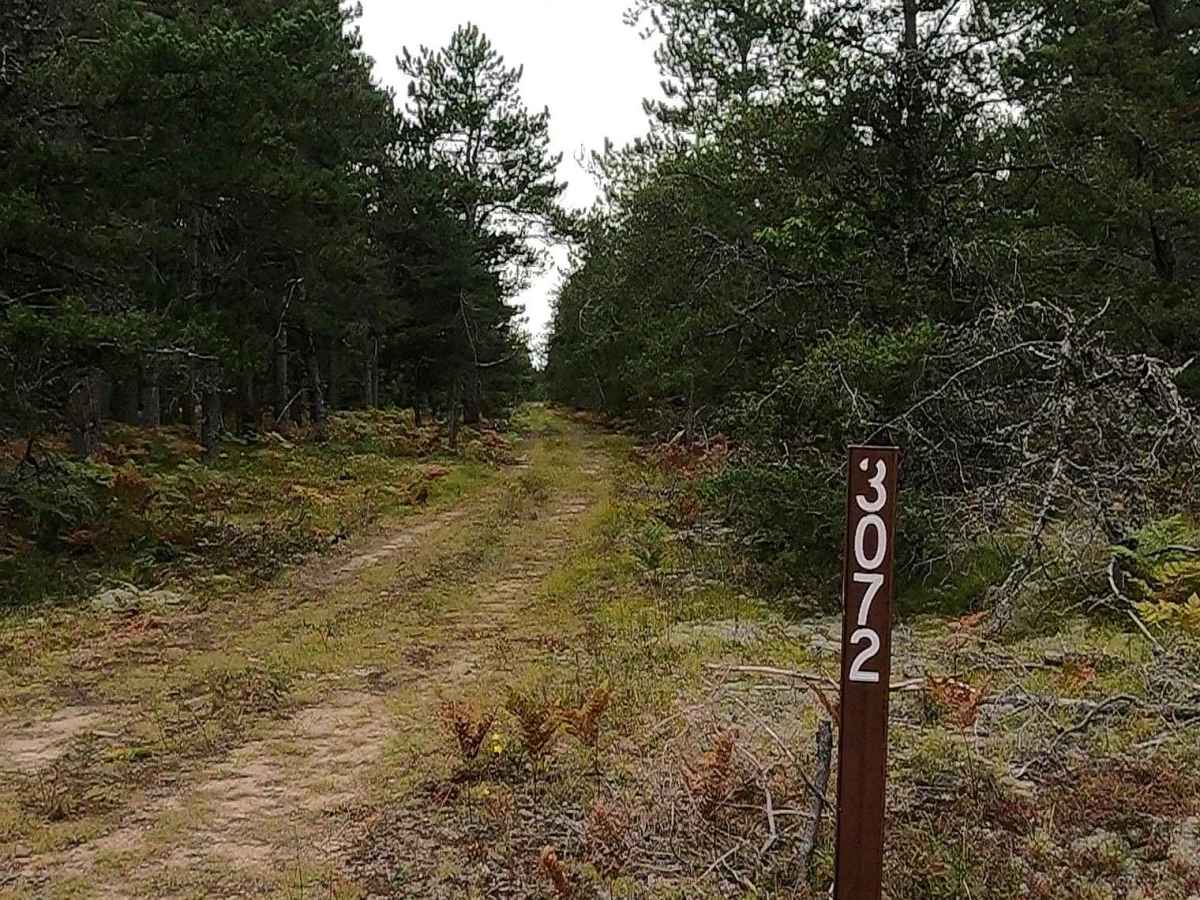 Pat - FS 3072 trail photo