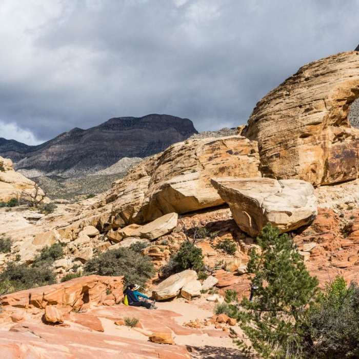 Near Calico Tanks Hike