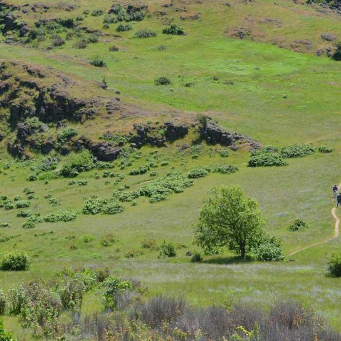 Near Lyle Cherry Orchard