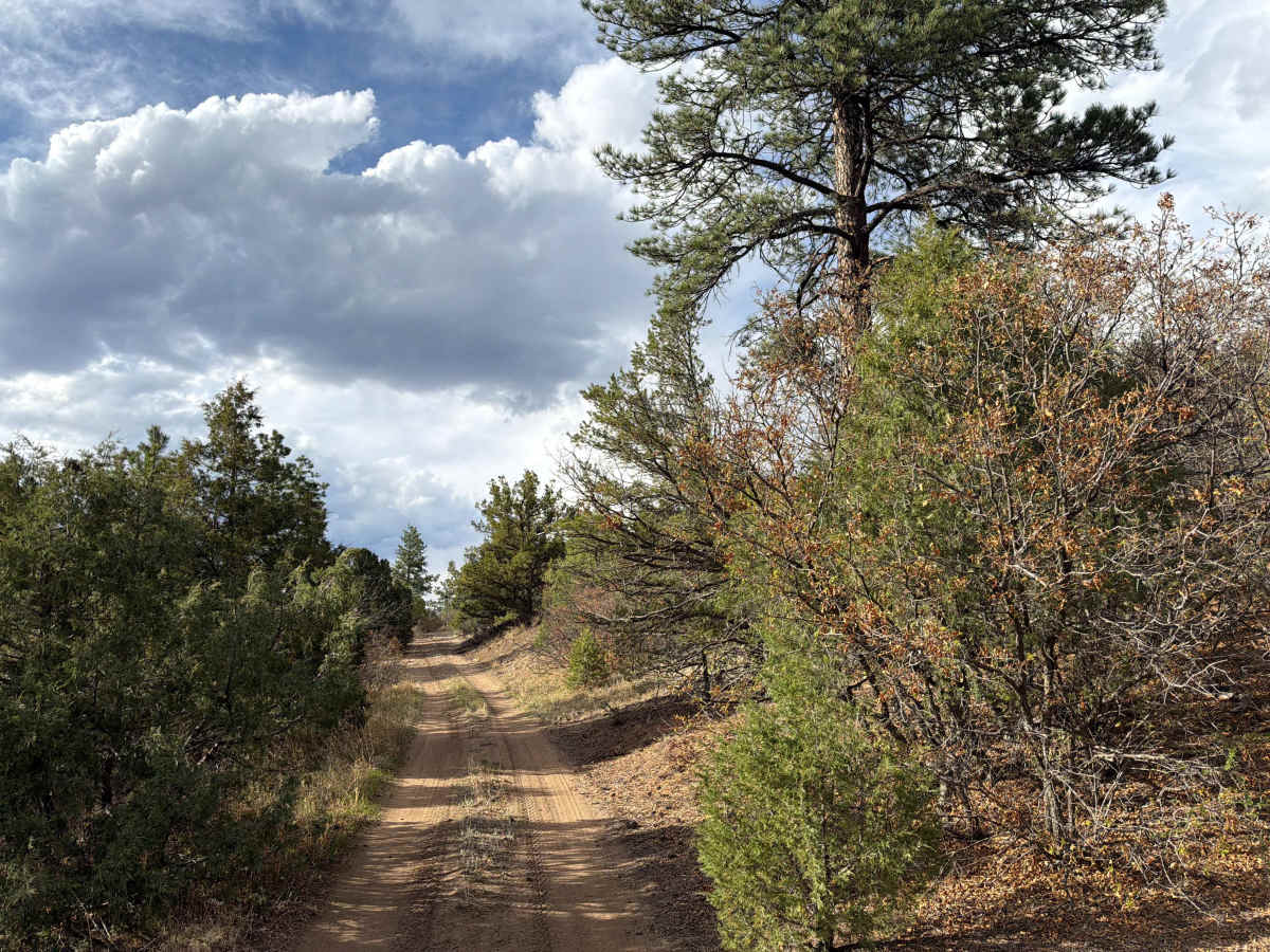 BLM 6170A trail photo