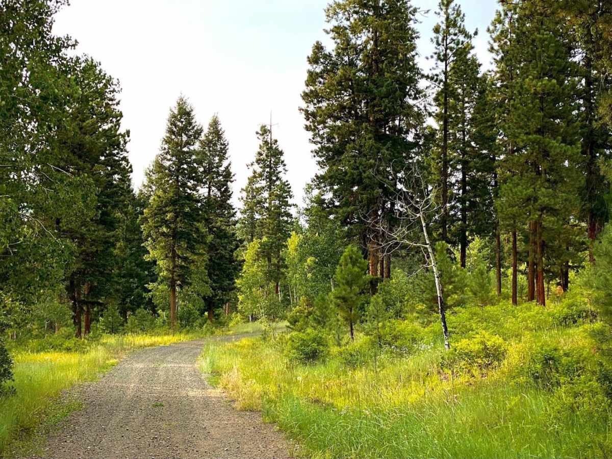 Gordon Creek Rd #625 trail photo