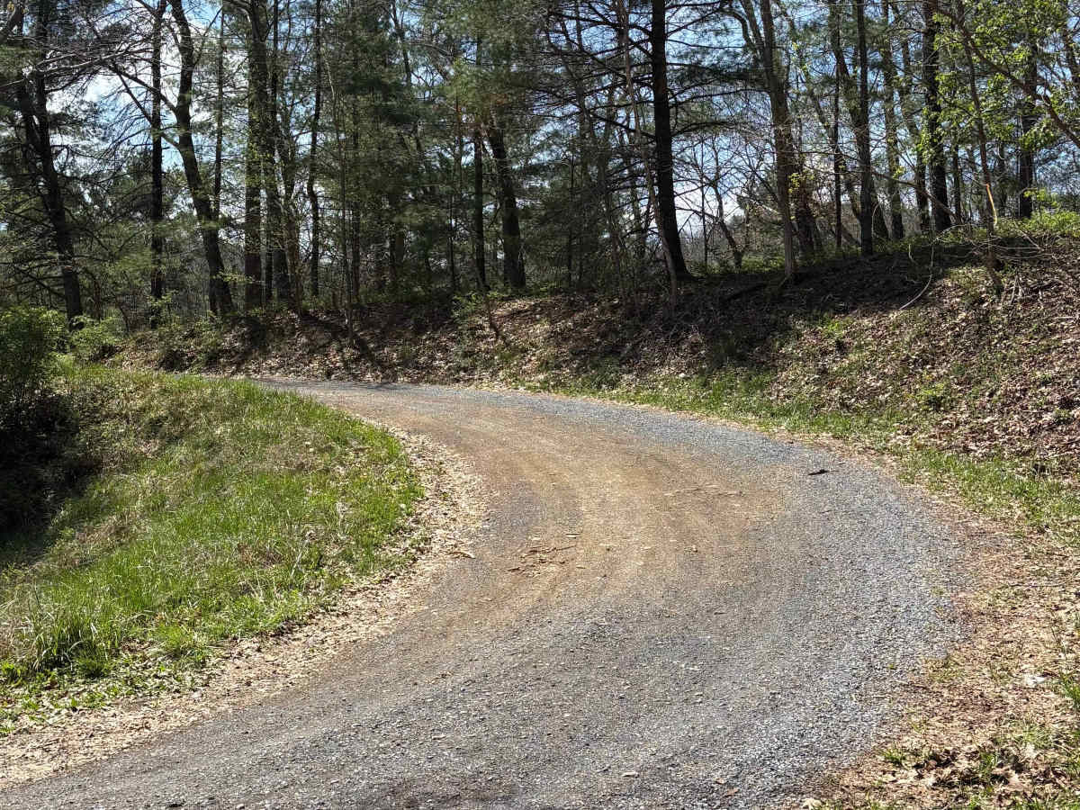 Shinault Shanty trail photo