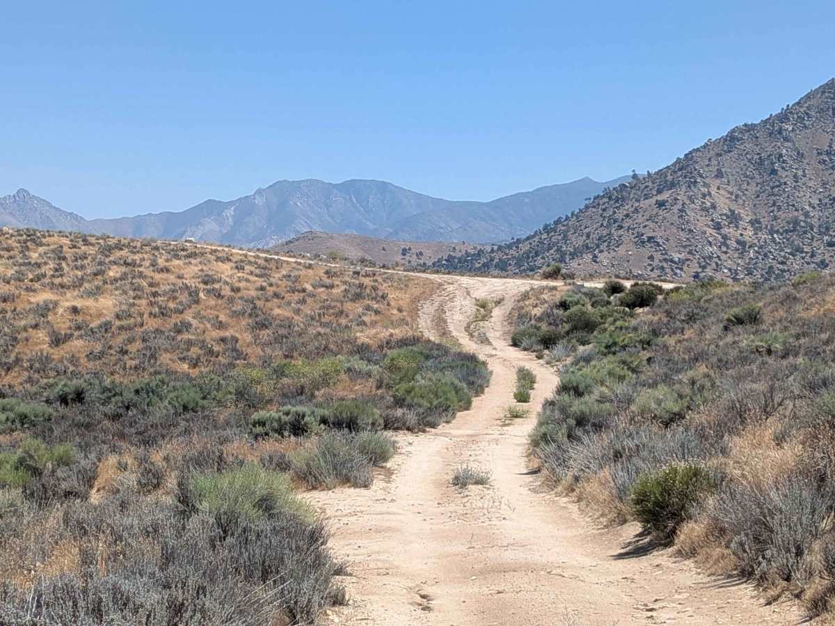 Boulder Gulch - FS 26S45 trail photo