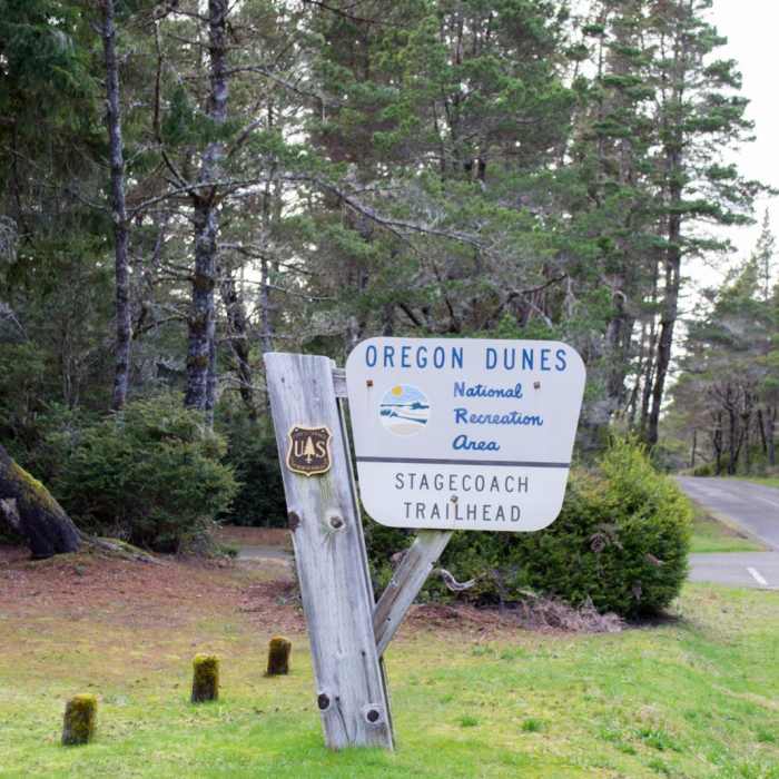 Near Chief Tsiltcoos Trail