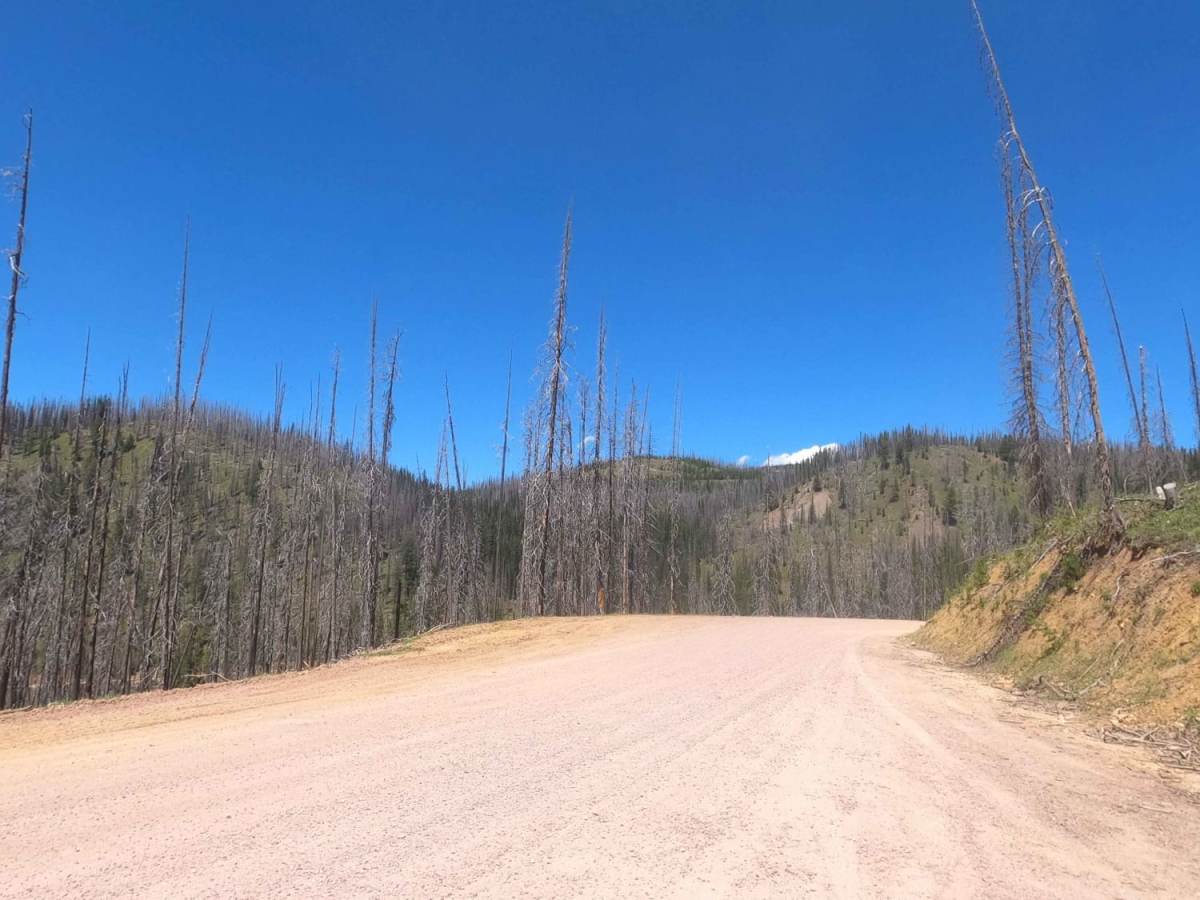 Skalkaho Highway / MT 38 photo 3