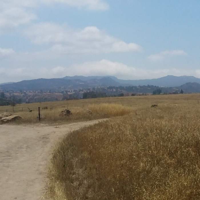 Near Mary Weisbrock Loop Trail