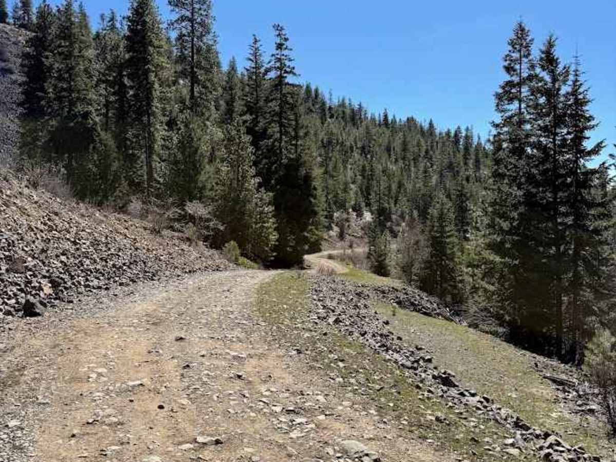 Tyee Road photo 6