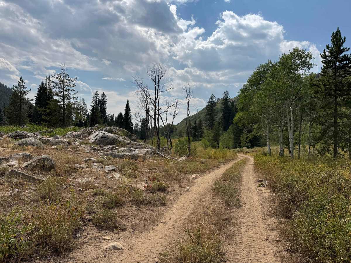 Bowes Spur Road - FS 471.1B photo 2
