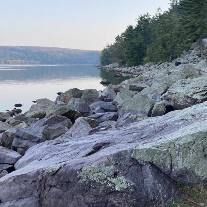 Near Tumbled Rocks Trail Near Tumbled Rocks Trail