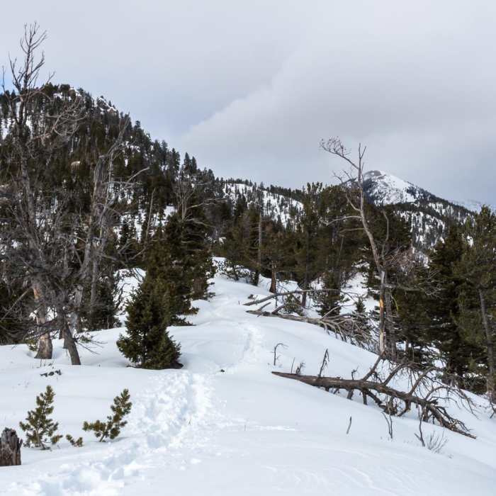 Near Baldy Mountain Near Baldy Mountain
