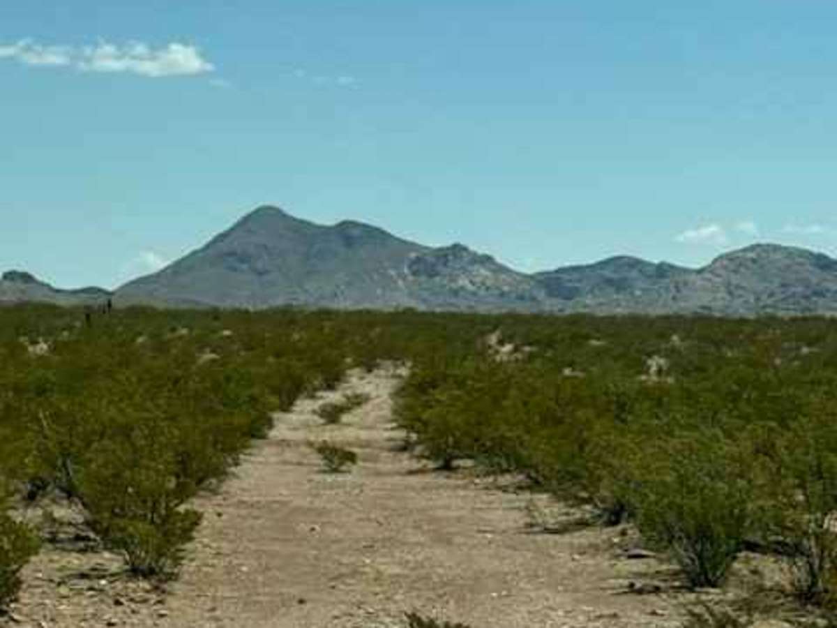 SS1168 photo 4